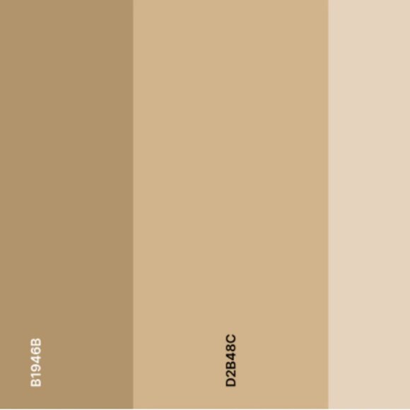 Jones New York Signature | Khaki 2010s Cotton Carpenter Pants - Picture 6 of 6